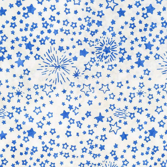 LET FREEDOM REIGN BT23197-293 blueprint matte
