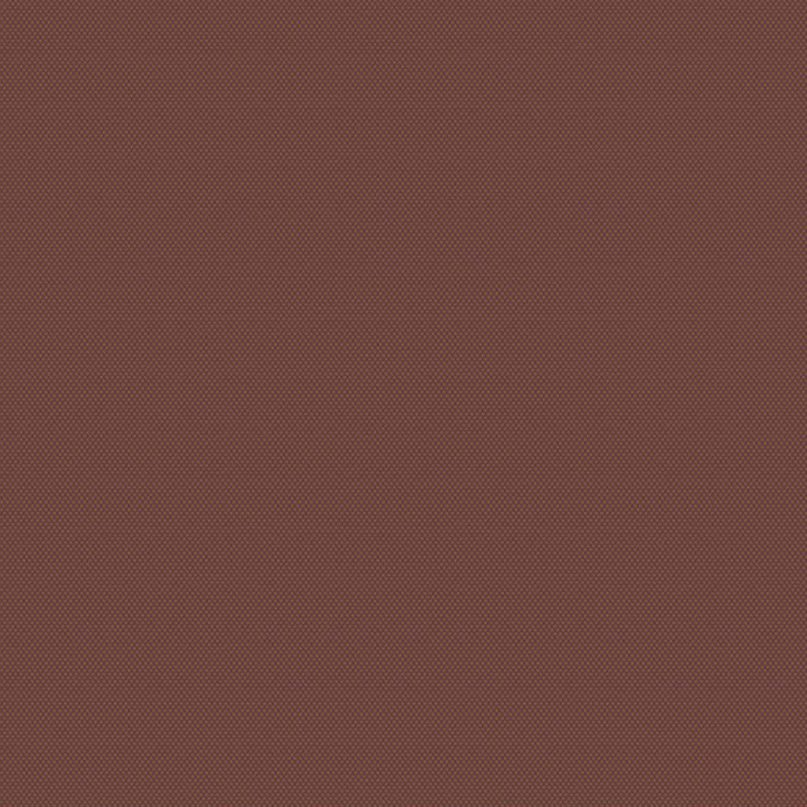 POPARAZZI Brown