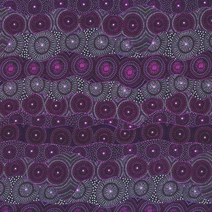 AUSTRALIAN Alpara Seeds purple