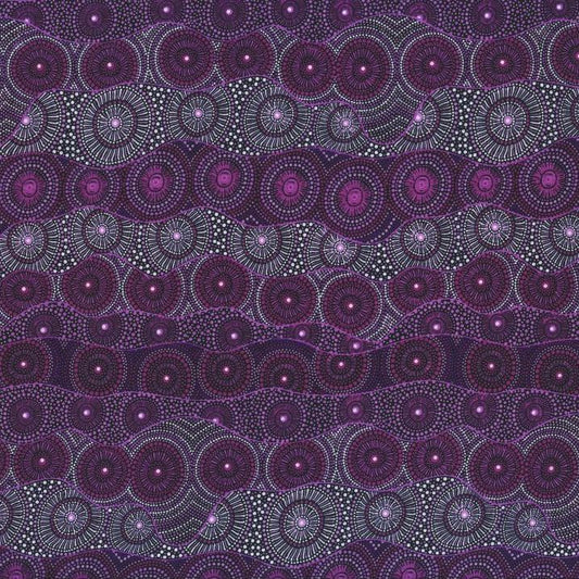 AUSTRALIAN Alpara Seeds purple