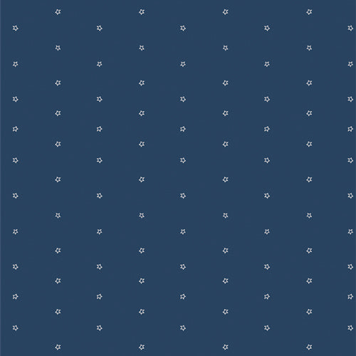 BLOOMIN' AMERICANA Starlight