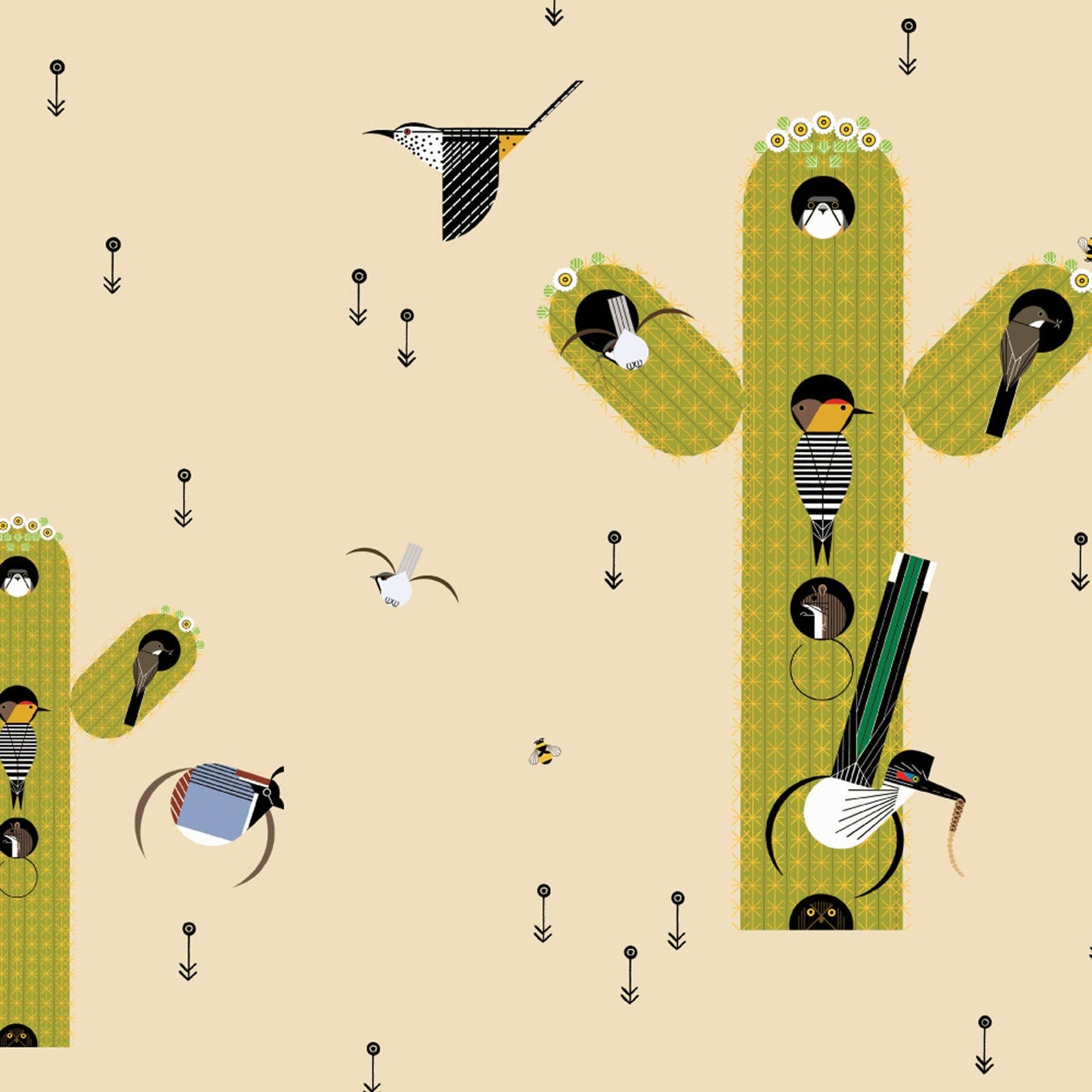 DESERT Cactus Field