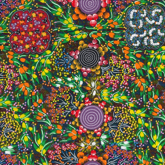 AUSTRALIAN Bush Plum & Bush Banana Dreaming multi
