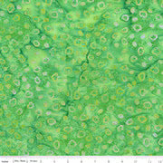 BOLD IN BLOOM 23514 Green Apple