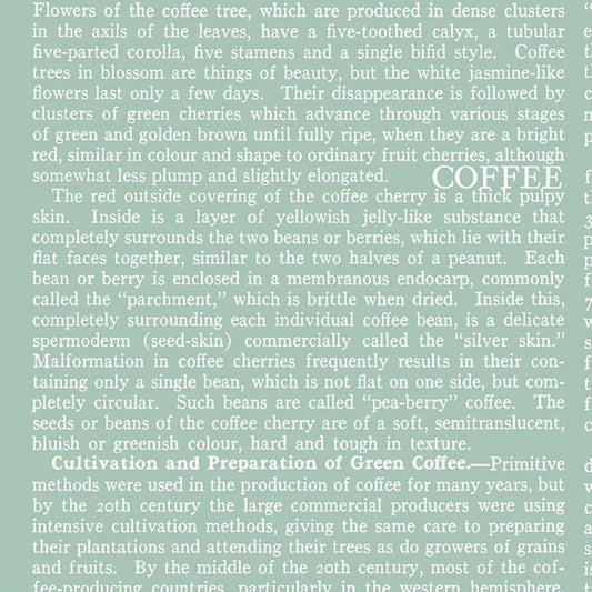 COFFEE CHALK Text aqua