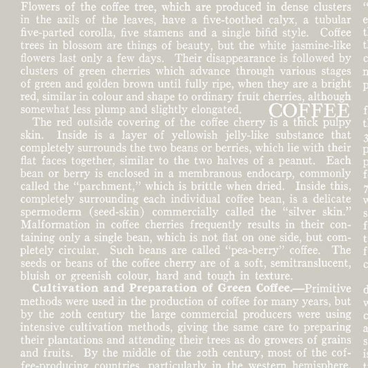 COFFEE CHALK Text taupe
