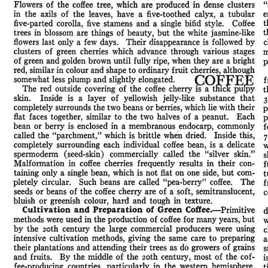 COFFEE CHALK Text white