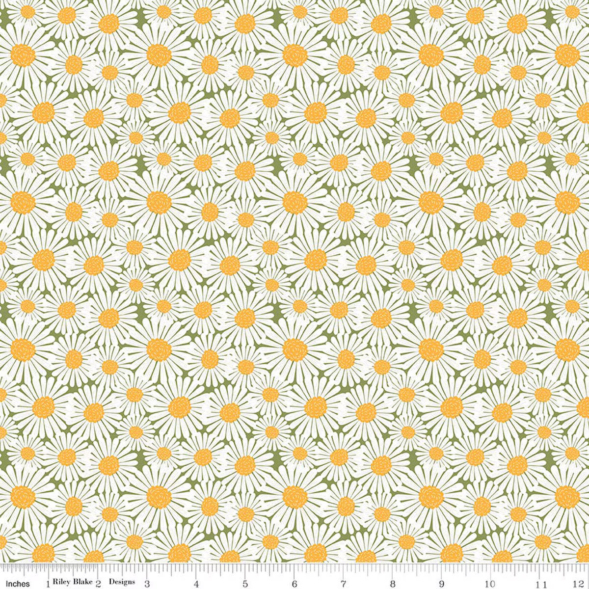 SUNSHINE & DANDELIONS Daisies green