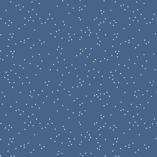 BLOSSOM Denim