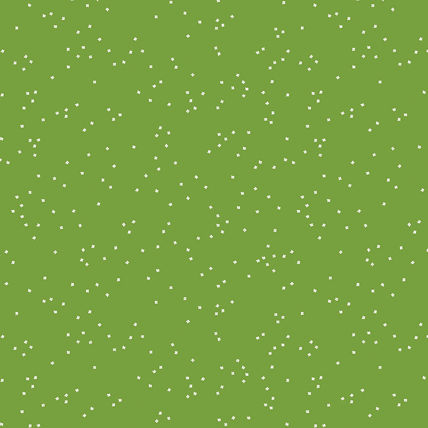 BLOSSOM Holly