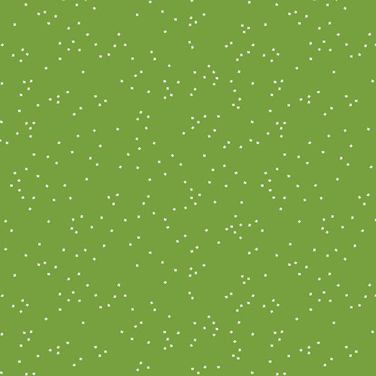 BLOSSOM Holly
