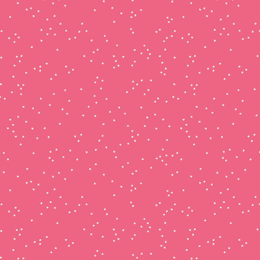 BLOSSOM Raspberry