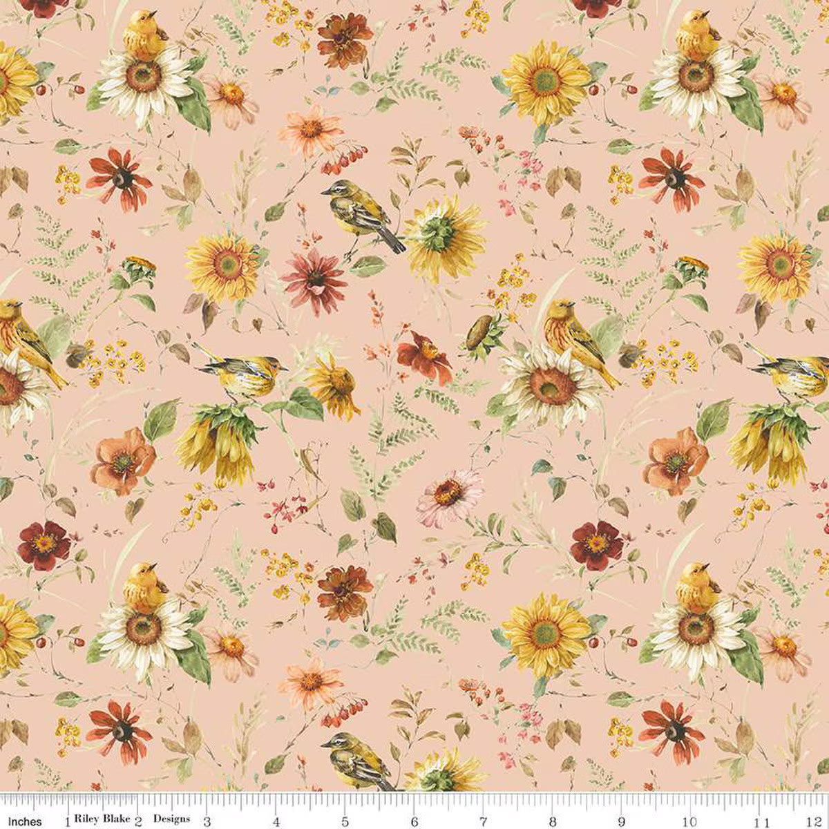 SUNFLOWER WHISPERS Prairie blush