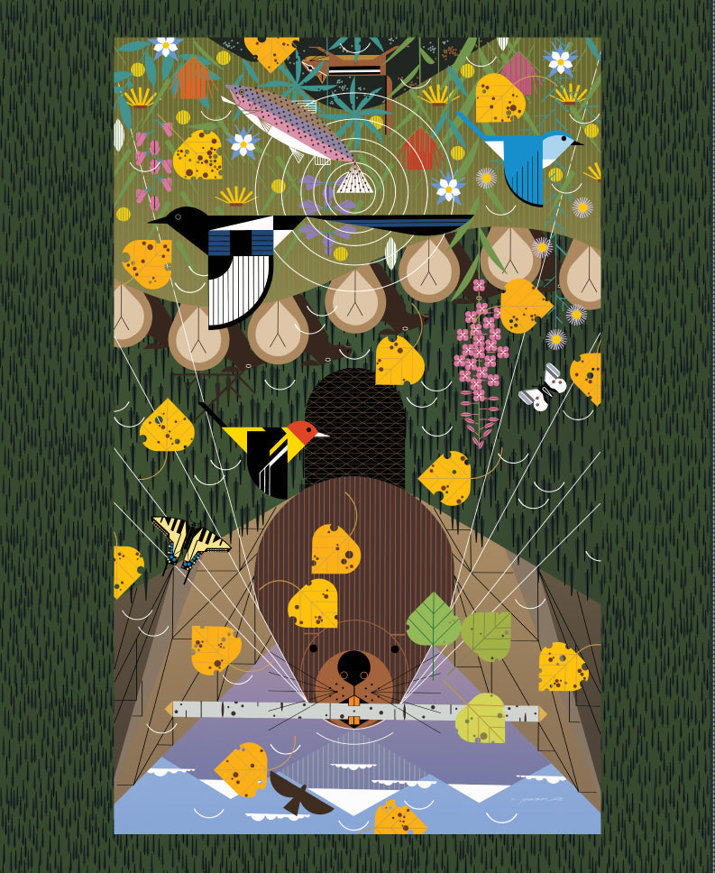 ROCKY MOUNTAINS Poster Panel 36"x44"