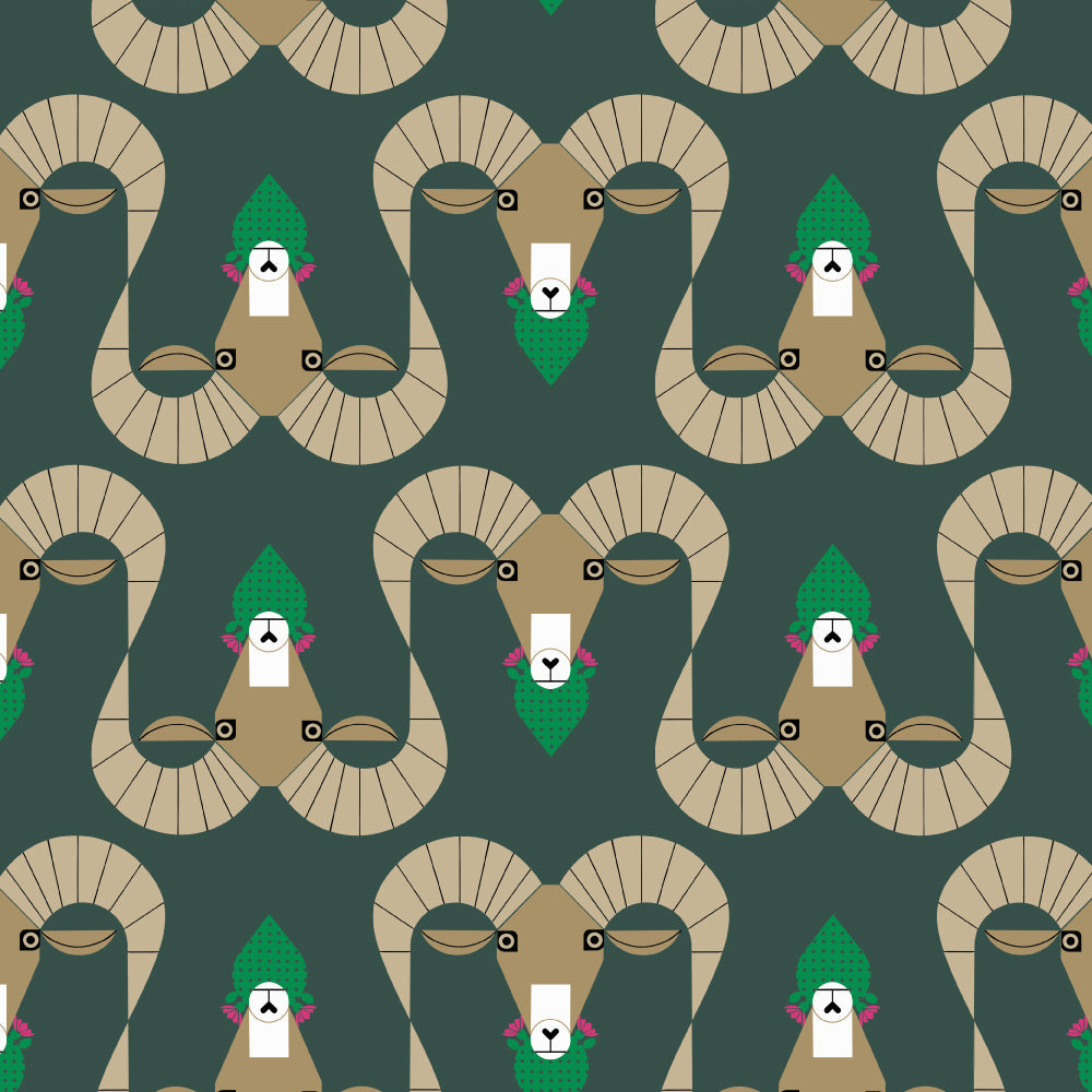SANTA ROSA Ram Trekking