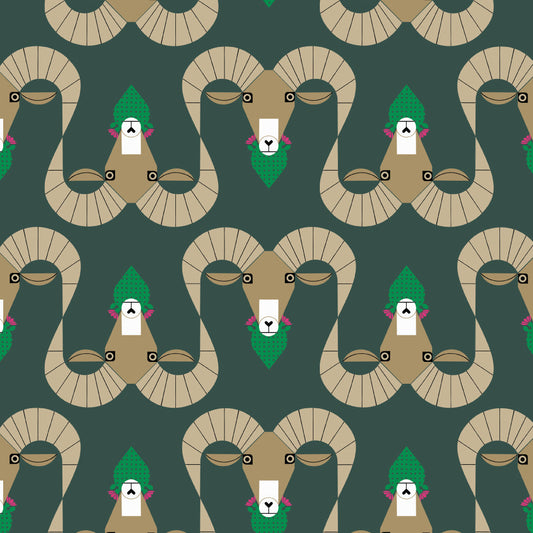 SANTA ROSA Ram Trekking
