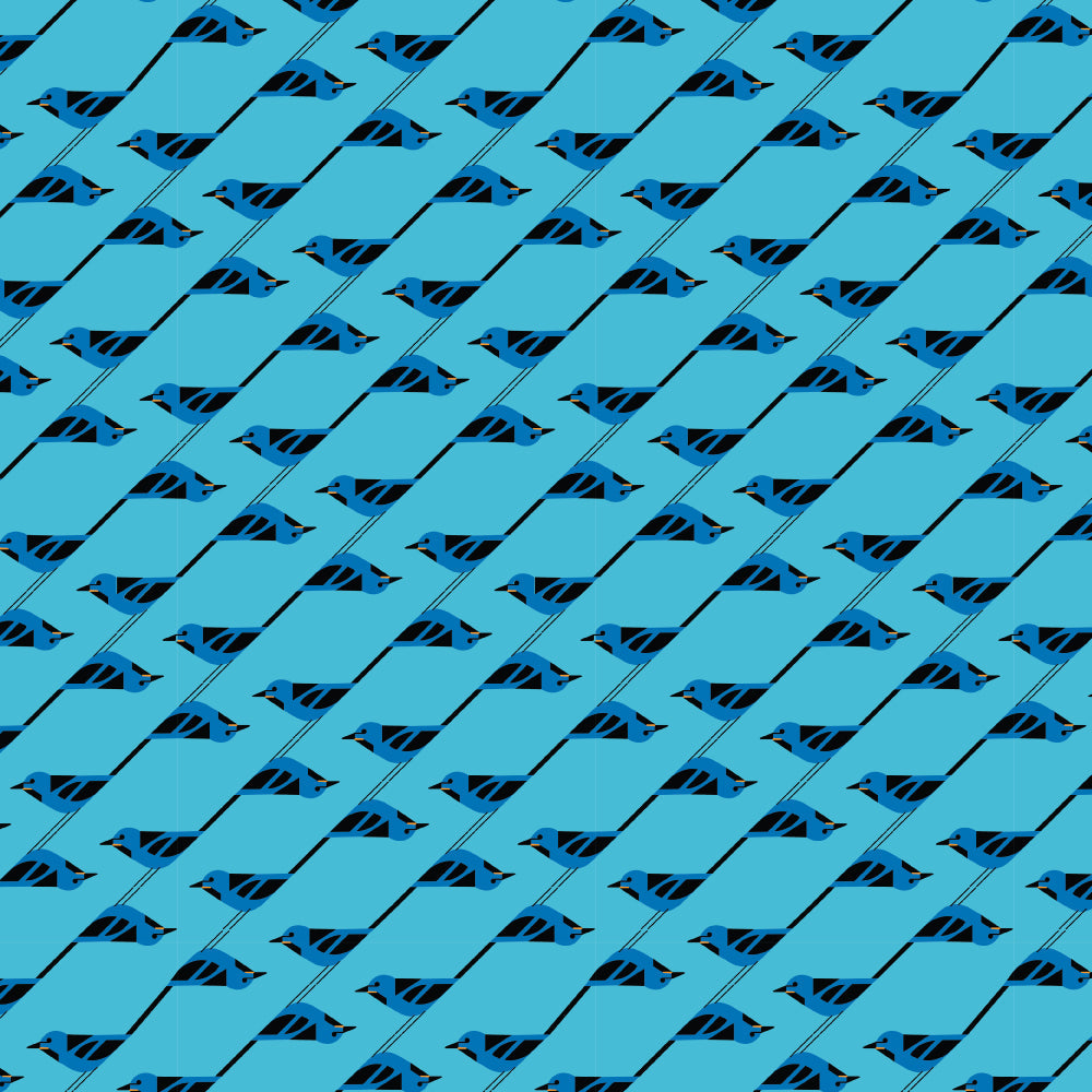 MONTEVERDE HABITAT Bluebird Stagger
