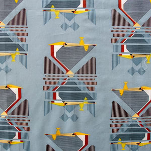 COASTAL VOL 2 Pelican Reflection