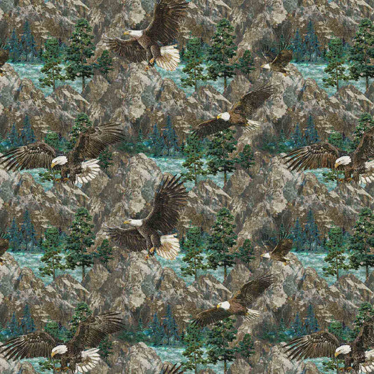STONEHENGE EAGLE PASS Eagle Scenic blue multi
