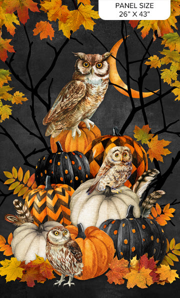 NIGHT OWL 23"x42" Panel