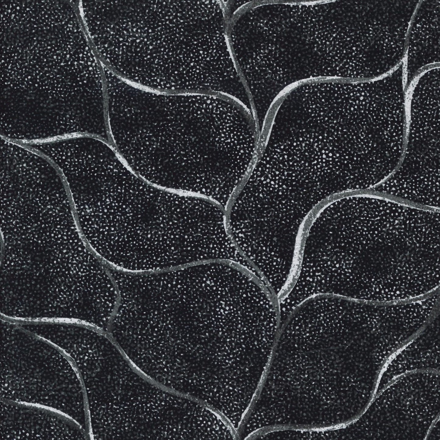 AUSTRALIAN Ladies Walking Along the Line black