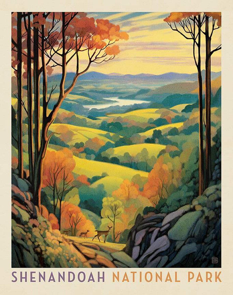 NATIONAL PARKS WILDERNESS & WONDER Shenandoah Panel 36"x43"