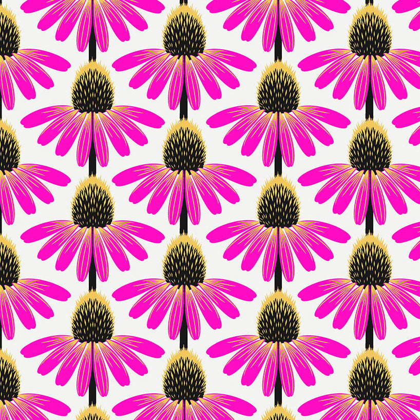 LOVE ALWAYS, AM Echinacea true