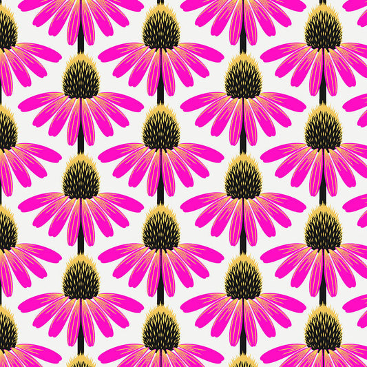 LOVE ALWAYS, AM Echinacea true