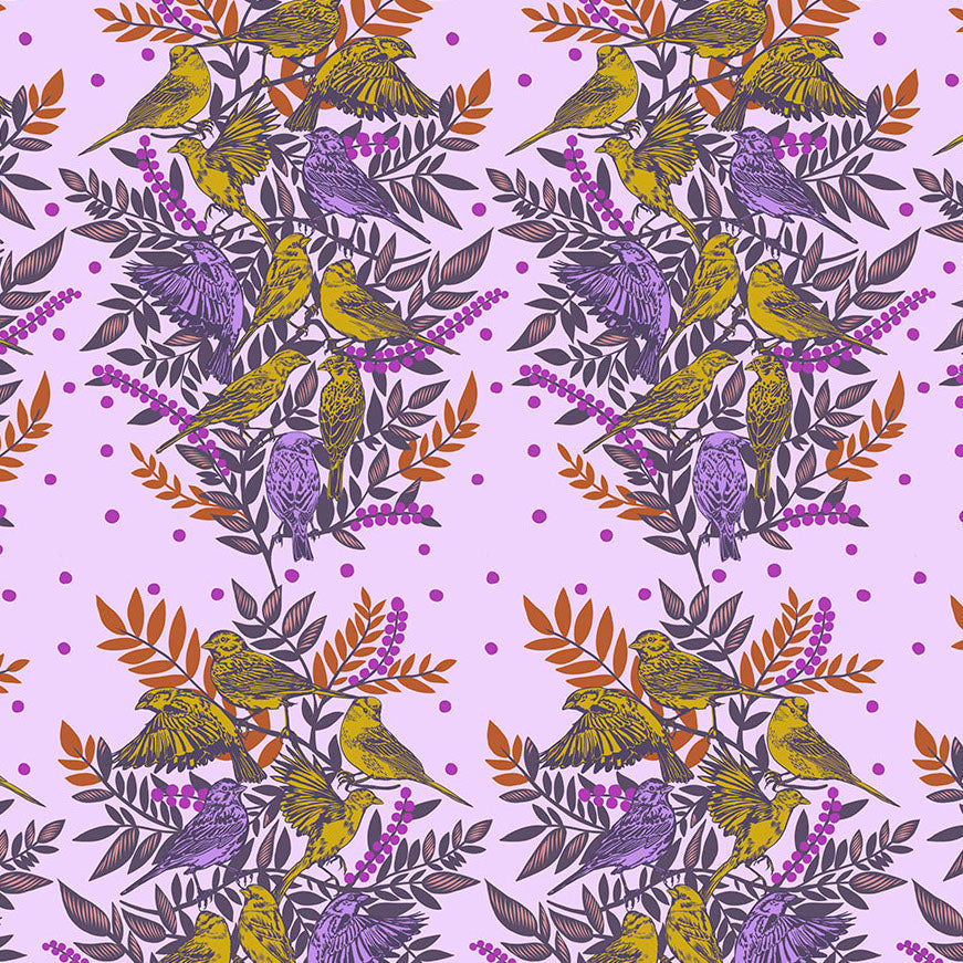 BRIGHT EYES Visitation lilac