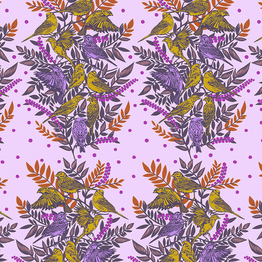BRIGHT EYES Visitation lilac