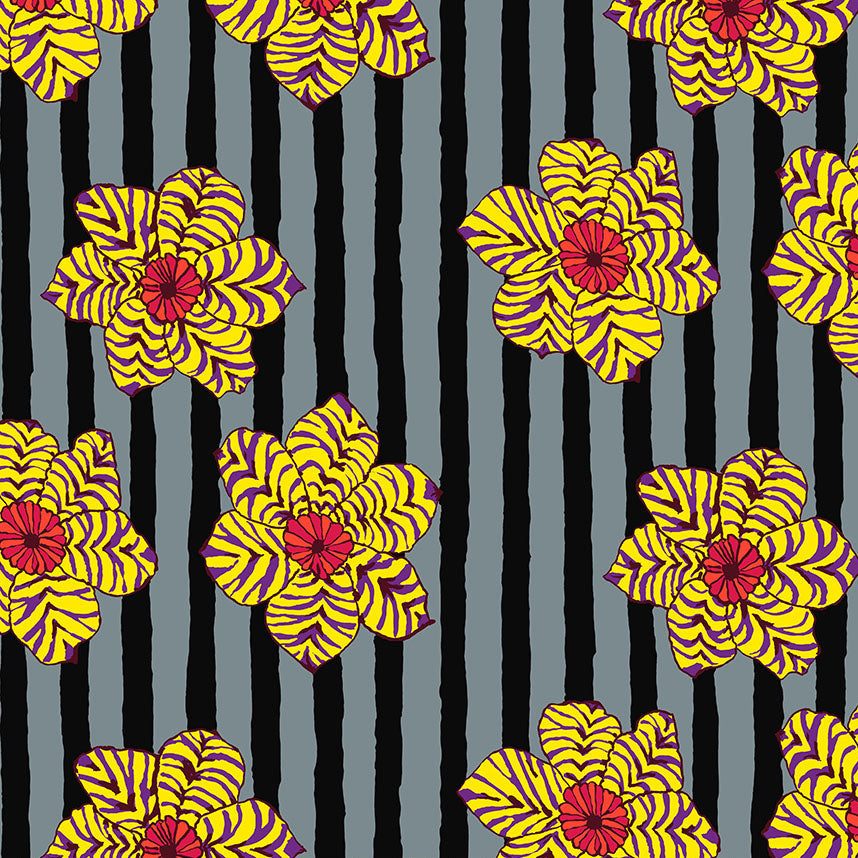 ZEBRA LILY black