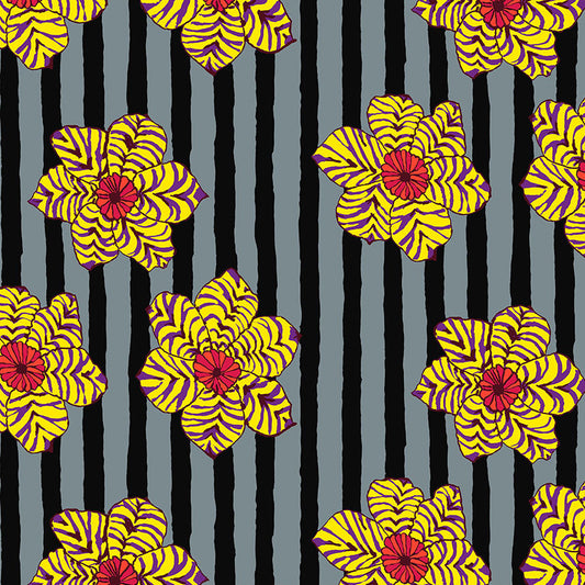 ZEBRA LILY black