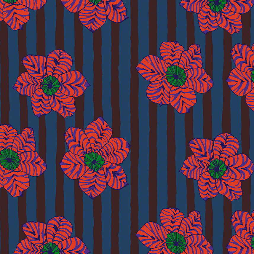 ZEBRA LILY dark