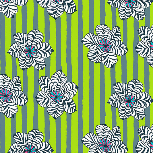 ZEBRA LILY green