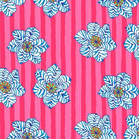 ZEBRA LILY pink