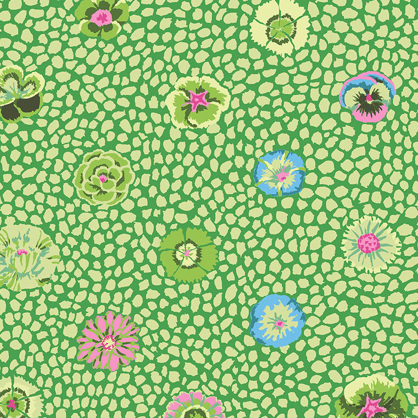 GUINEA FLOWER moss