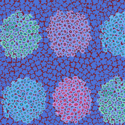 HYDRANGEA blue