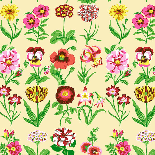 FLOWER STUDIES ecru NEW