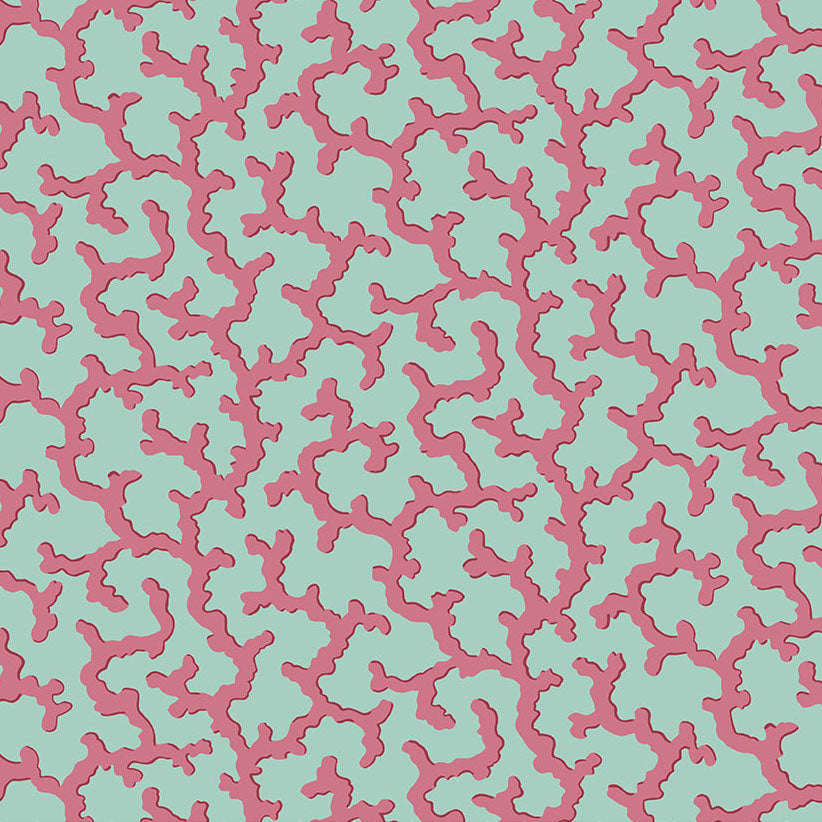 CORAL duckegg