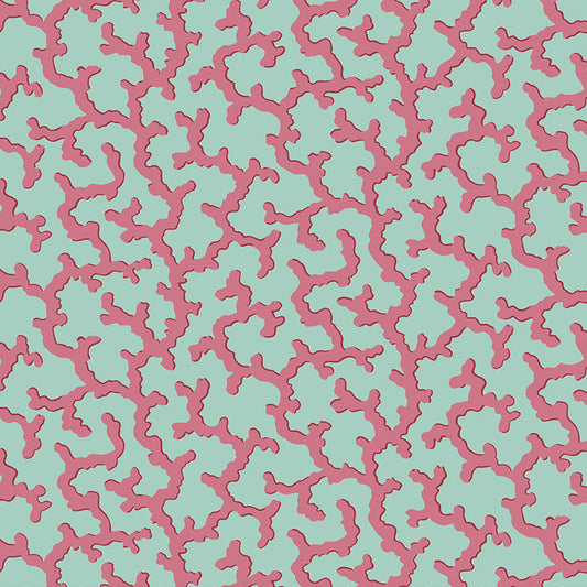 CORAL duckegg