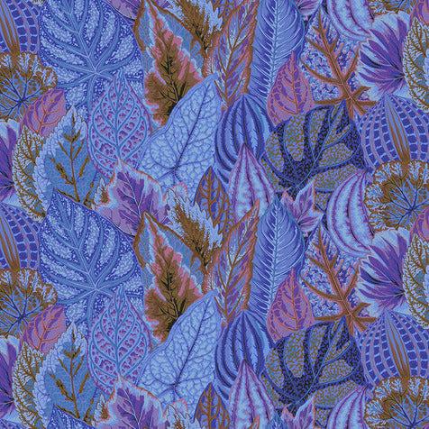 COLEUS blue