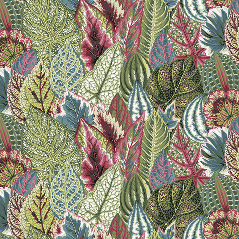 COLEUS green