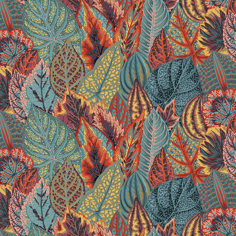 COLEUS teal