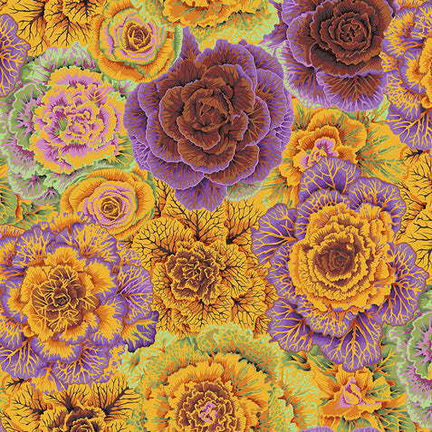 BRASSICA orange