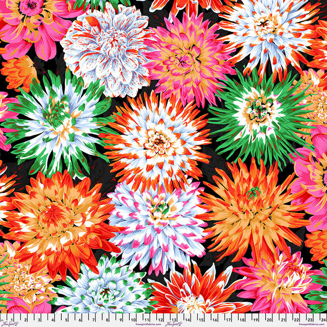 CACTUS DAHLIA Contrast