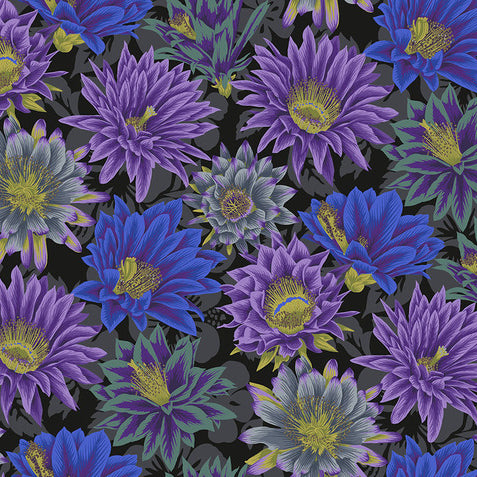 CACTUS FLOWER black