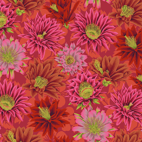 CACTUS FLOWER red