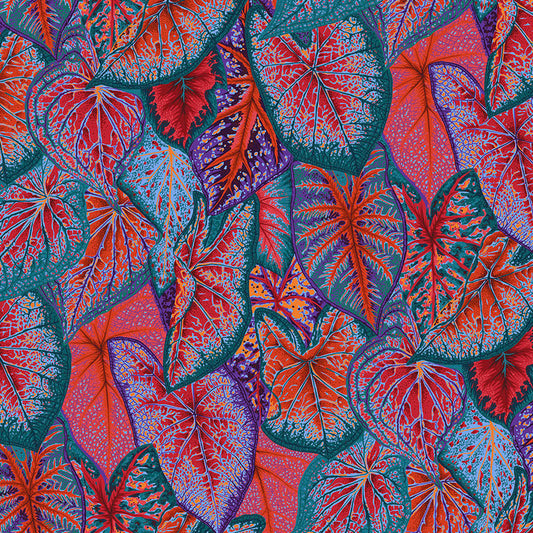 CALADIUMS red