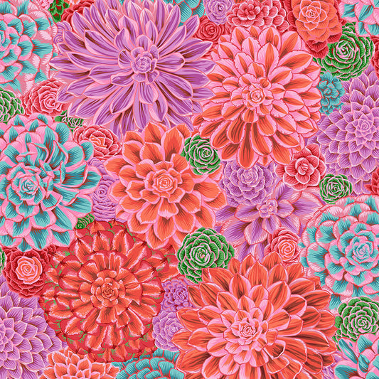 HOUSE LEEKS pink NEW