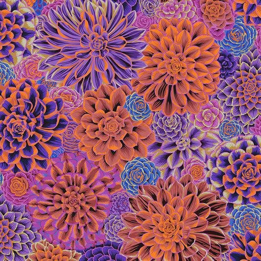 HOUSE LEEKS purple NEW